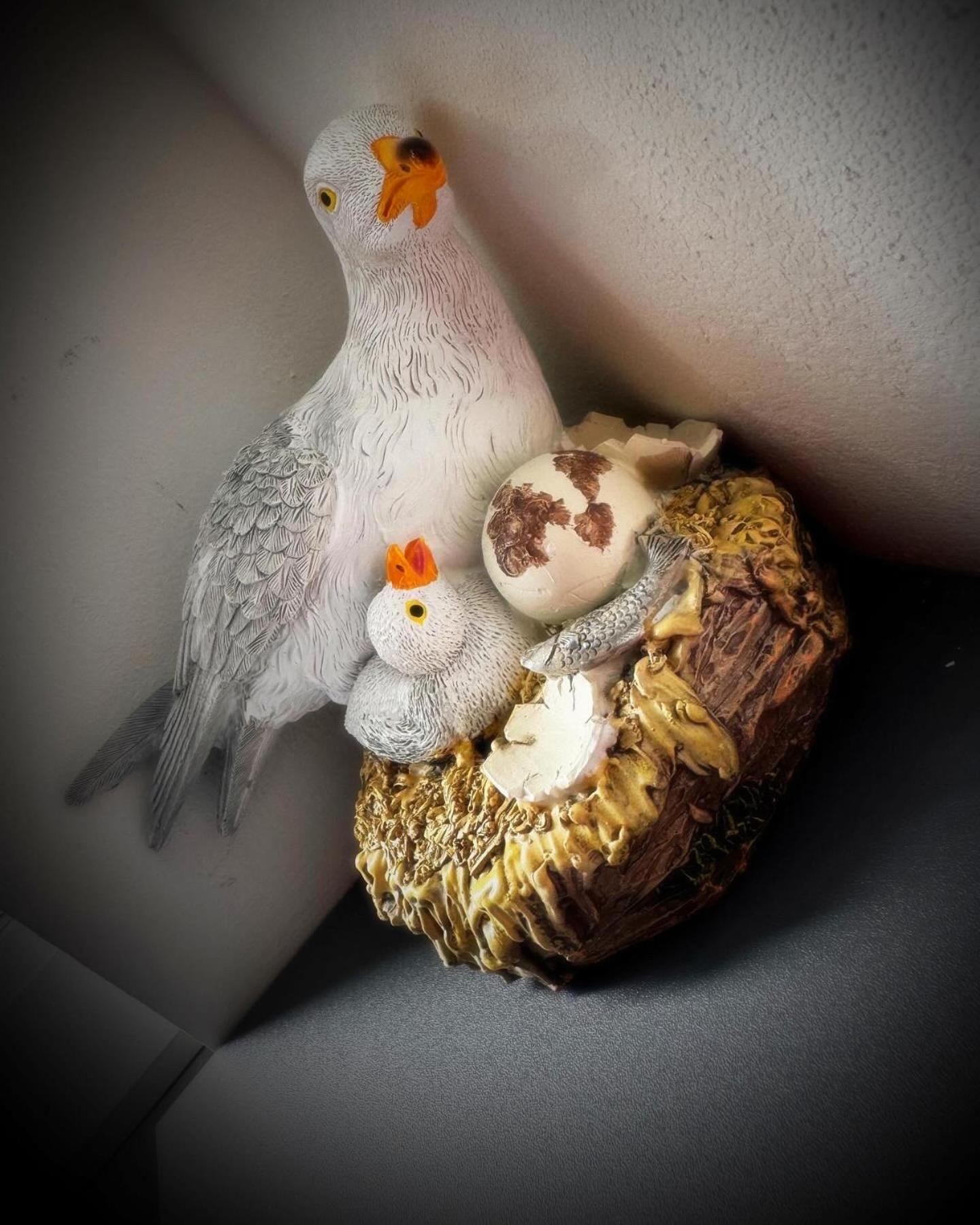 Melville House - Pet Friendly Blackpool Esterno foto